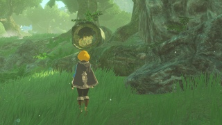 �����ɃR���O��