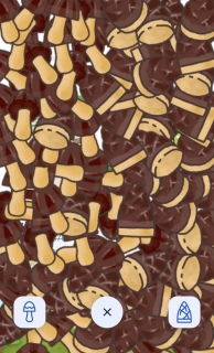 �݂�����